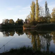 Leipziger Teich (Zörbig)-2