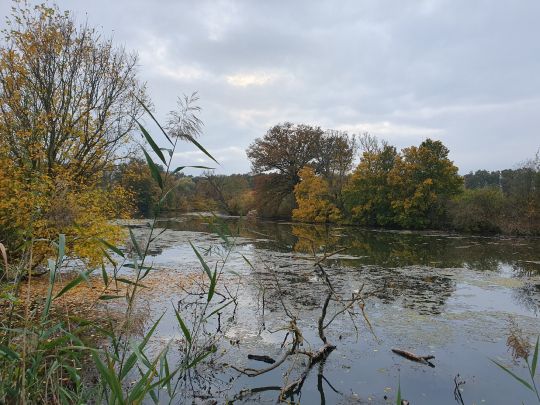 Tiefe Lache (Seegrehna)