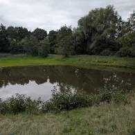 Spatzenteich (Toppenstedt)-1