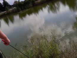 Dorfteich Hohenthurm-1