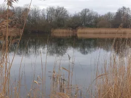 Mühlenteich (Rostock-Evershagen)-1