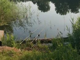 Mühlenteich (Rostock-Evershagen)-4