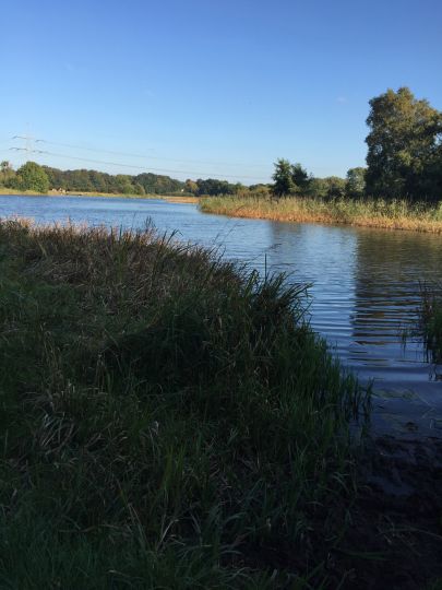 Alte Aller (Etelsen)-1