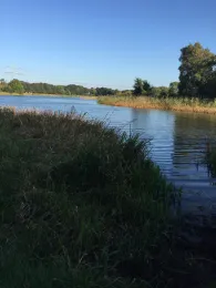 Alte Aller (Etelsen)-1