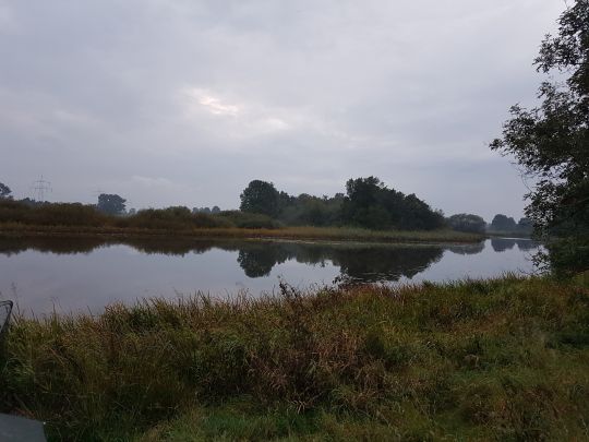 Alte Aller (Etelsen)-2