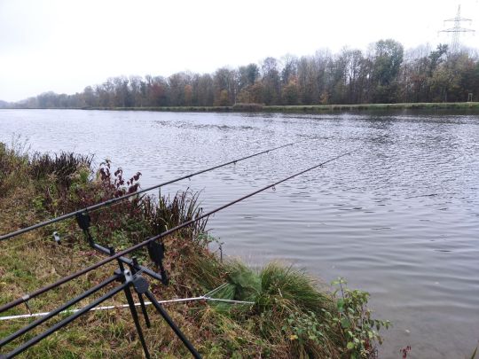 Donau (Höchstädt)-4