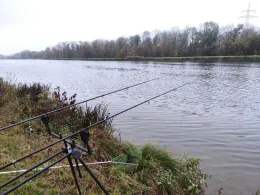 Donau (Höchstädt)-4