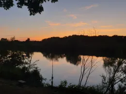 Donau (Höchstädt)-2