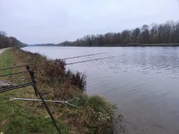 Donau (Höchstädt)-3