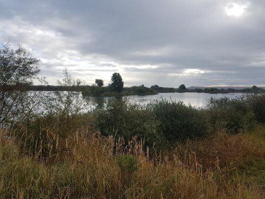 Baggersee Langsdorf-1