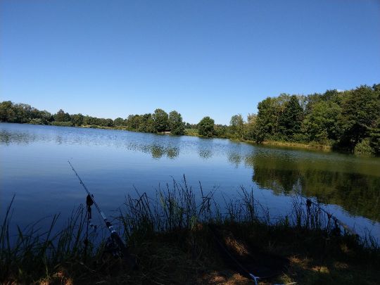 Stefflsee (Cham)