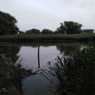 Färberwerder/Melzerwasser (Mörtitz)