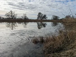 Färberwerder/Melzerwasser (Mörtitz)-2