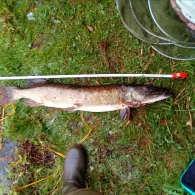 Kiesgrube Langensalzwedel