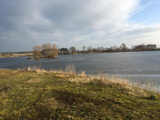 Kiesgrube Langensalzwedel-1