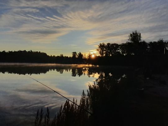 Otterweiher (Kemnath)-3