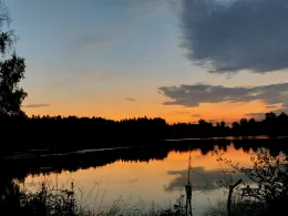 Otterweiher (Kemnath)-4