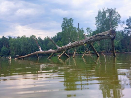 Otterweiher (Kemnath)-2