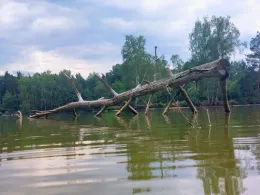 Otterweiher (Kemnath)-2