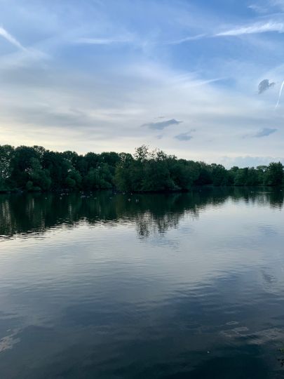 Neuer Teich (Braunschweig)-2