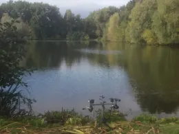 Neuer Teich (Braunschweig)-1