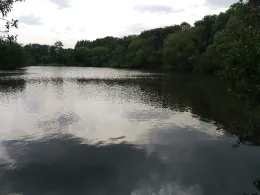 Neuer Teich (Braunschweig)-4