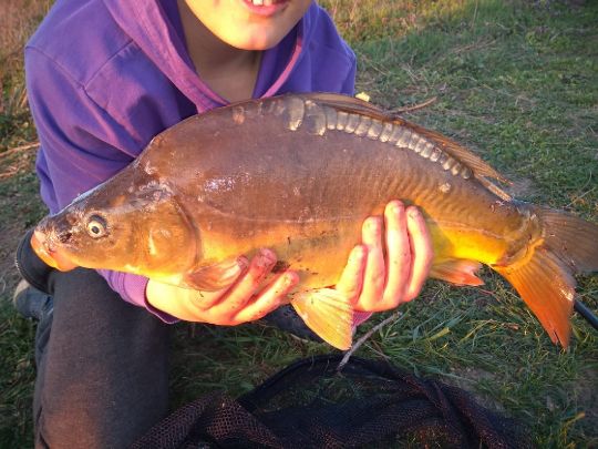 Alte Elbe (Kathewitz)-1