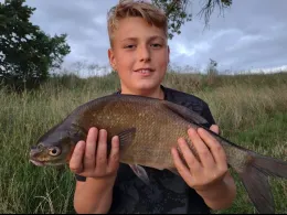 Alte Elbe (Kathewitz)-4