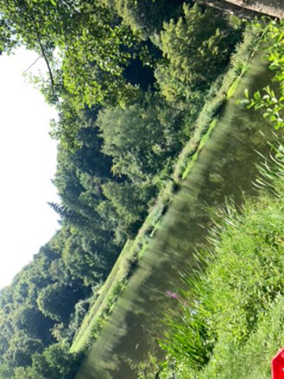 Naab (Pielenhofen)