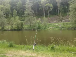 Naab (Pielenhofen)-2