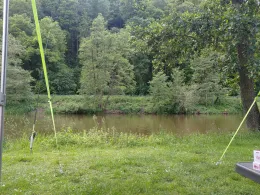 Naab (Pielenhofen)-4