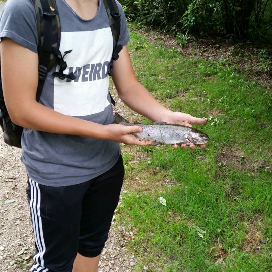 Schwale (Neumünster)-1