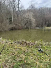 See des Angelverein Ispringen-1