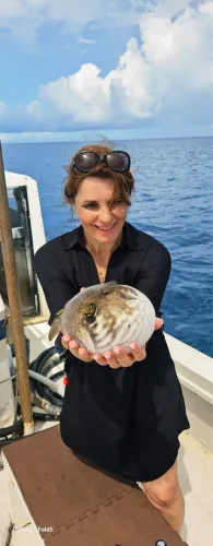 Ostchinesisches Meer (Kadena)-1