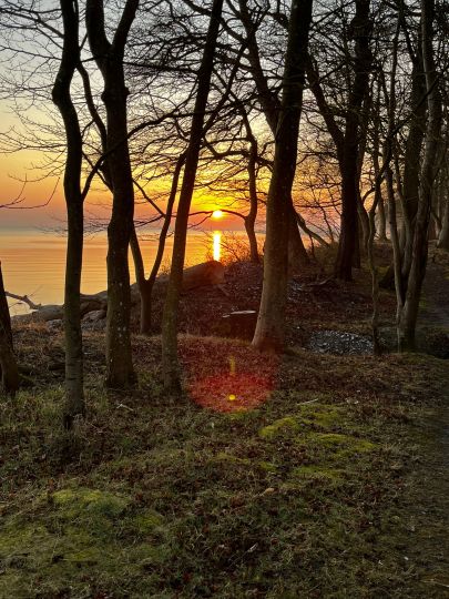 Ostsee (Fladbæk Strand)-3