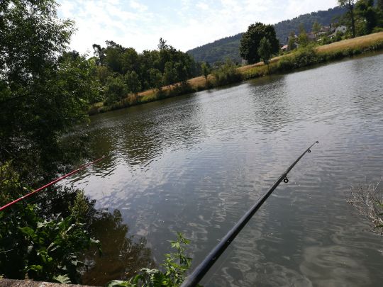 Saar (Mettlach)-1