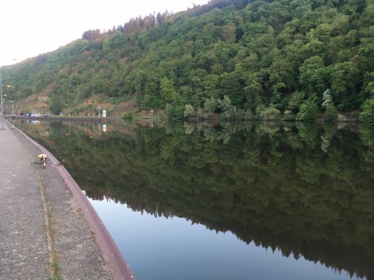 Saar (Mettlach)-4