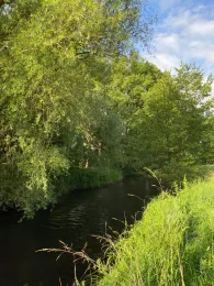 Lachte (Lachendorf)-1