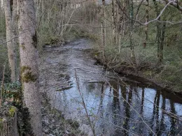 Waltenhofener Bach-1