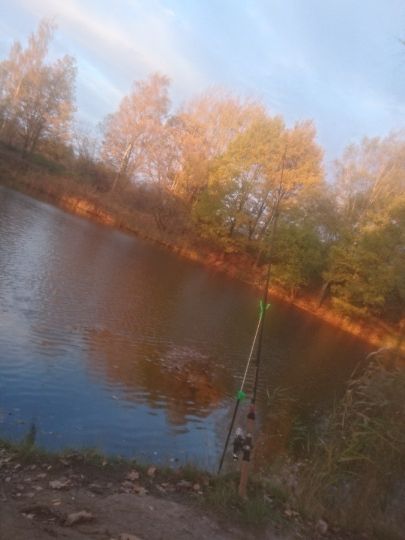 Weisswaldteich (Lugau)-2