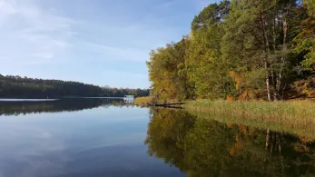 Haussee (Himmelpfort)-4