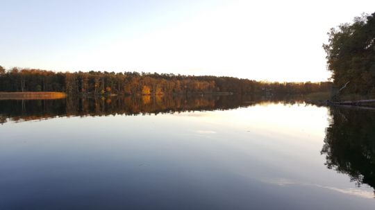Haussee (Himmelpfort) angeln
