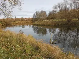 Schacksgraben/Wallgraben (Boizenburg)