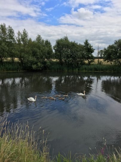 Schacksgraben/Wallgraben (Boizenburg)-2