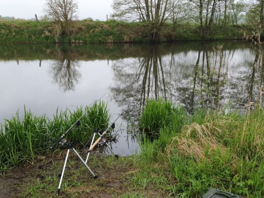 Schacksgraben/Wallgraben (Boizenburg)-4