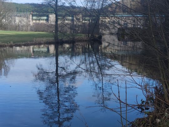 Pfreimd (Trausnitz)-4