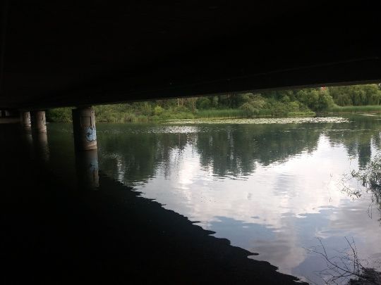 Schwanensee (Plön)