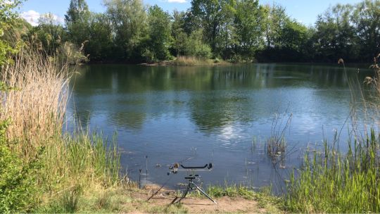Müllinger Teiche ALLE ANGELN