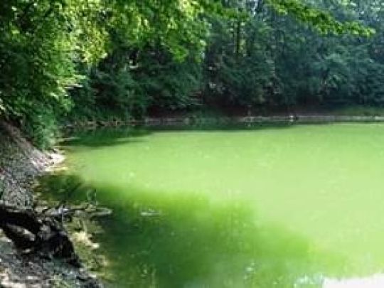 Dillsgraben (Bockenem)-1