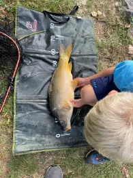 Teiche ASV Hergershausen-1